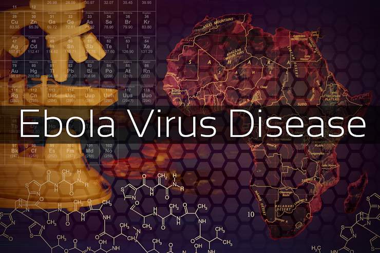 Using Calculus to Model the 2014 Ebola Virus Disease Outbreak in West Africa